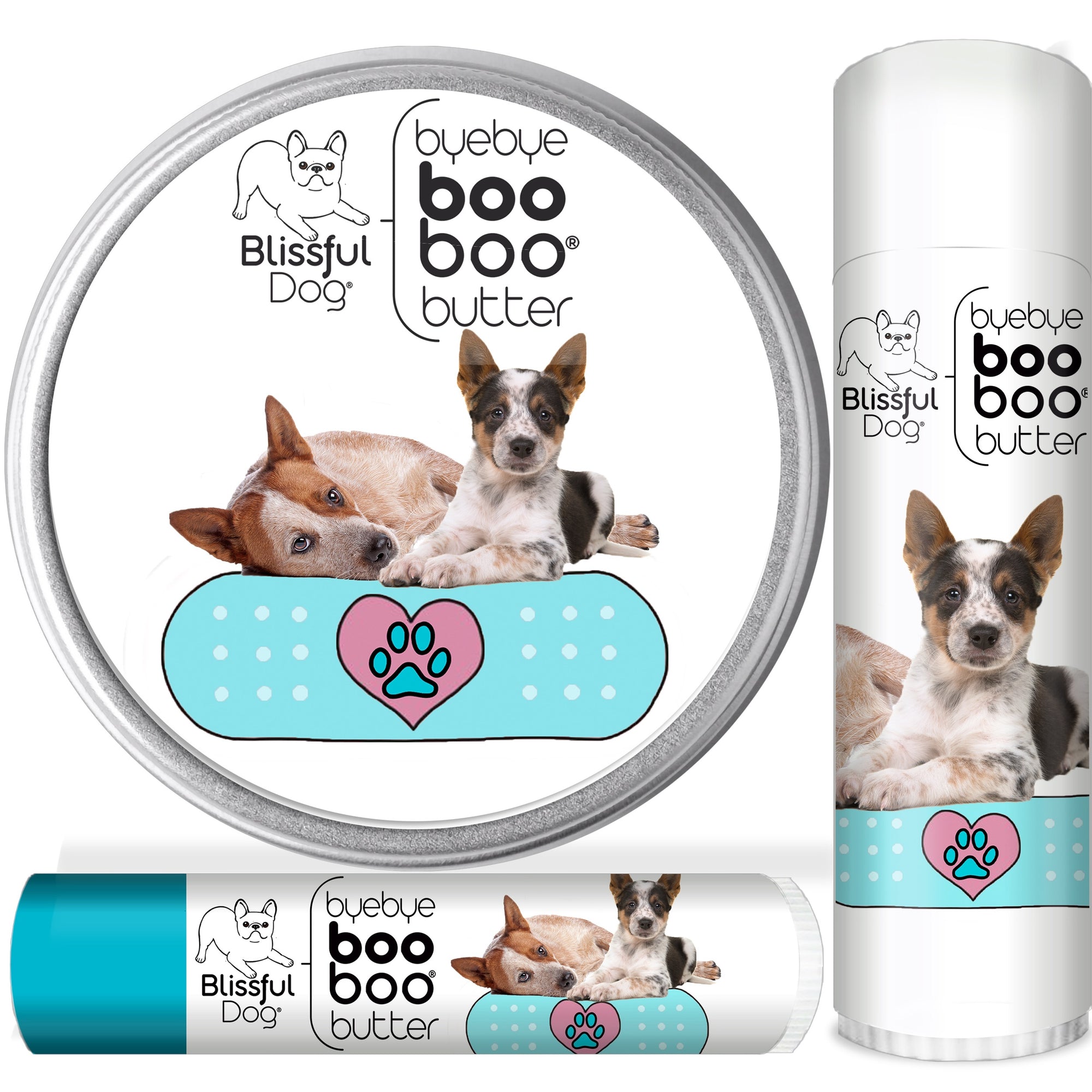 Australian Cattle Dog Skin Care