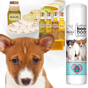 basenji hot spots