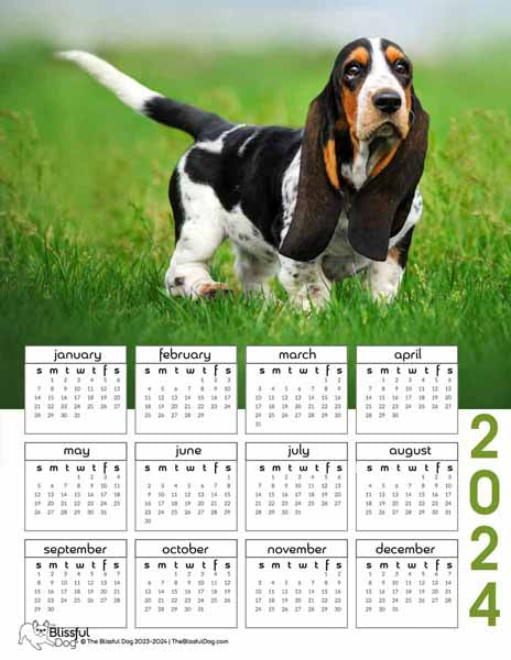 free basset hound puppy calendar