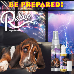 basset scared fireworks