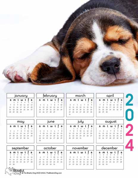 free beagle calendar