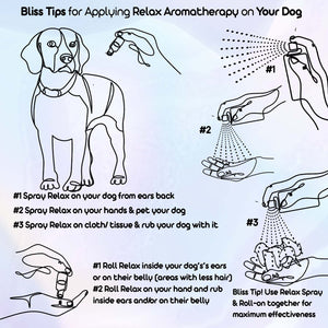 beagle dog aromatherapy