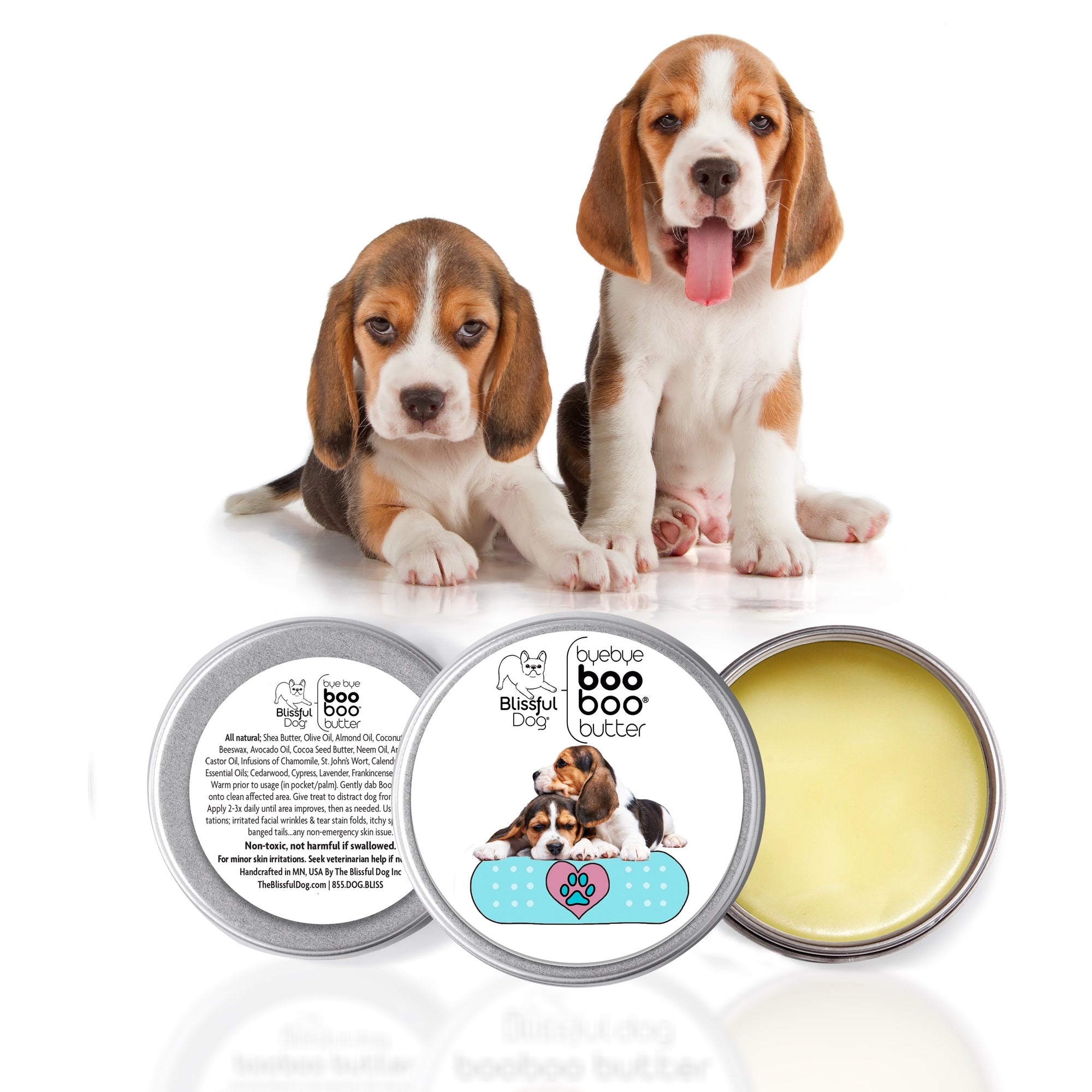 Beagle skin care