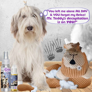 bearded collie destructive