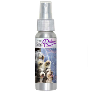 bearded collie dog aromatherapy