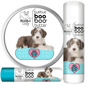 Bearded Collie Skin Care