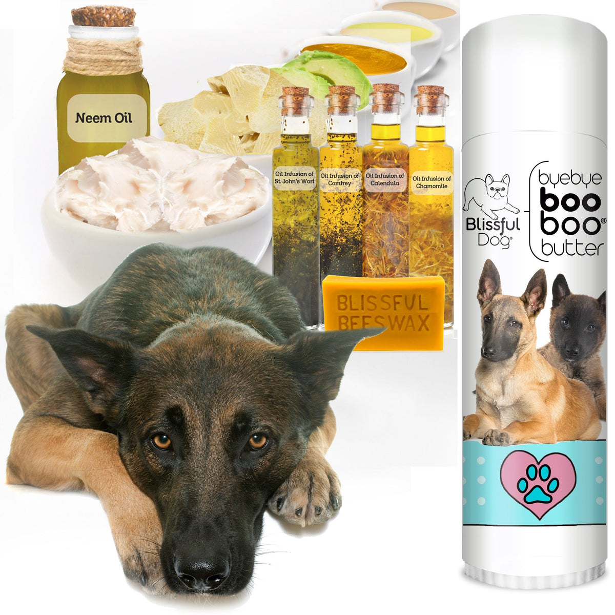 Belgian Malinois healing balm