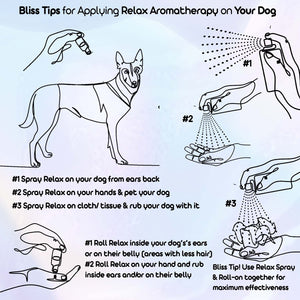 using belgian malinois dog aromatherapy