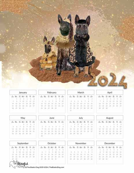 free belgian malinois calendar 2024