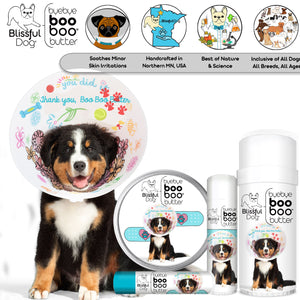 Bernese Mountain Dog Skin Care