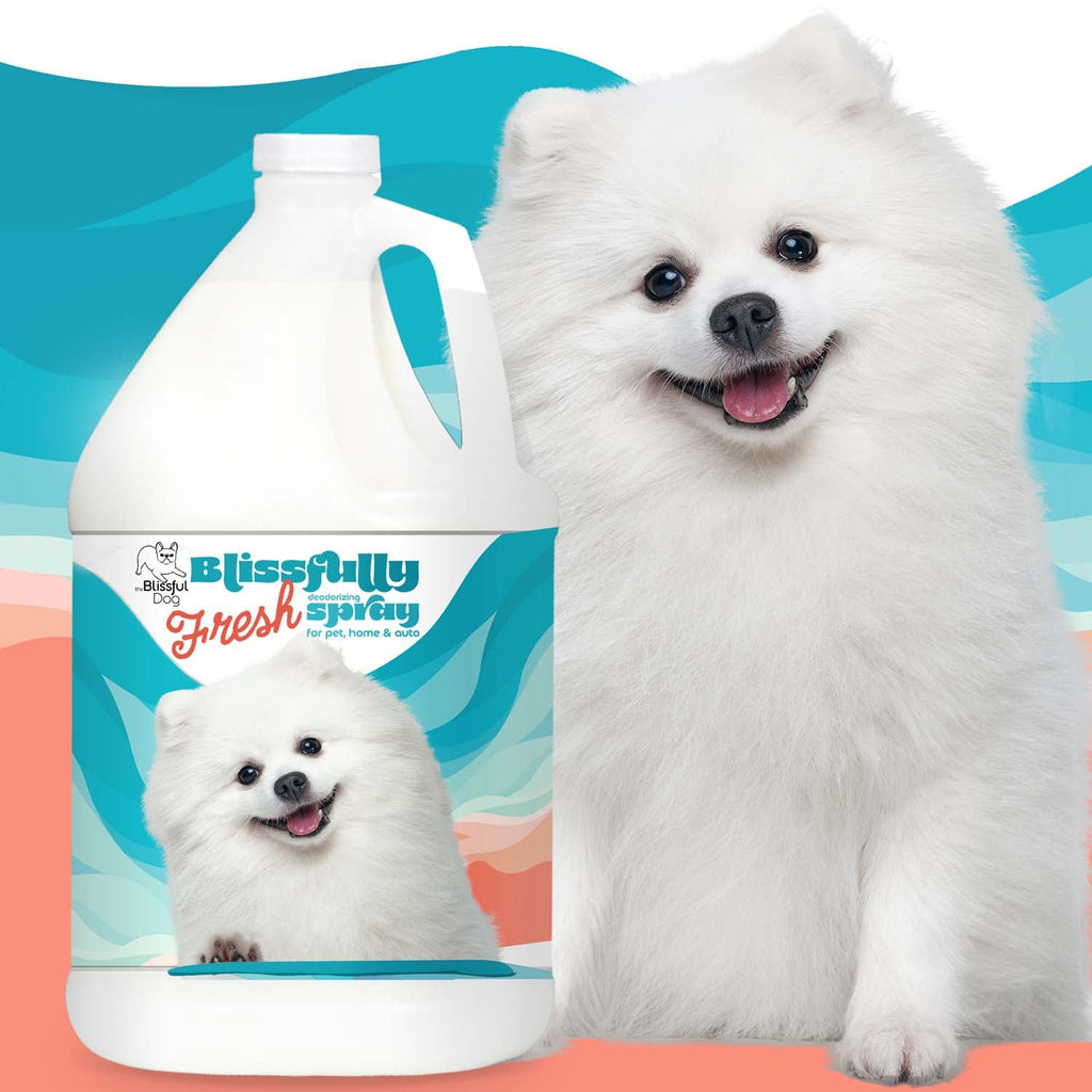 The Blissful Dog Spray deodorante Blissfully Fresh per cani, gatti