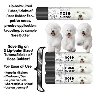 Bichon Frise dog nose dry rough