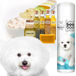 bichon frise skin care