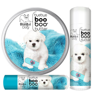 bichon frise skin care