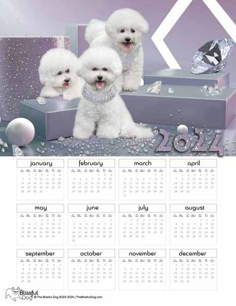bichon frise calendar free 2024