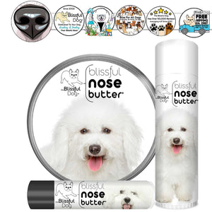 Bichon Fride dog care