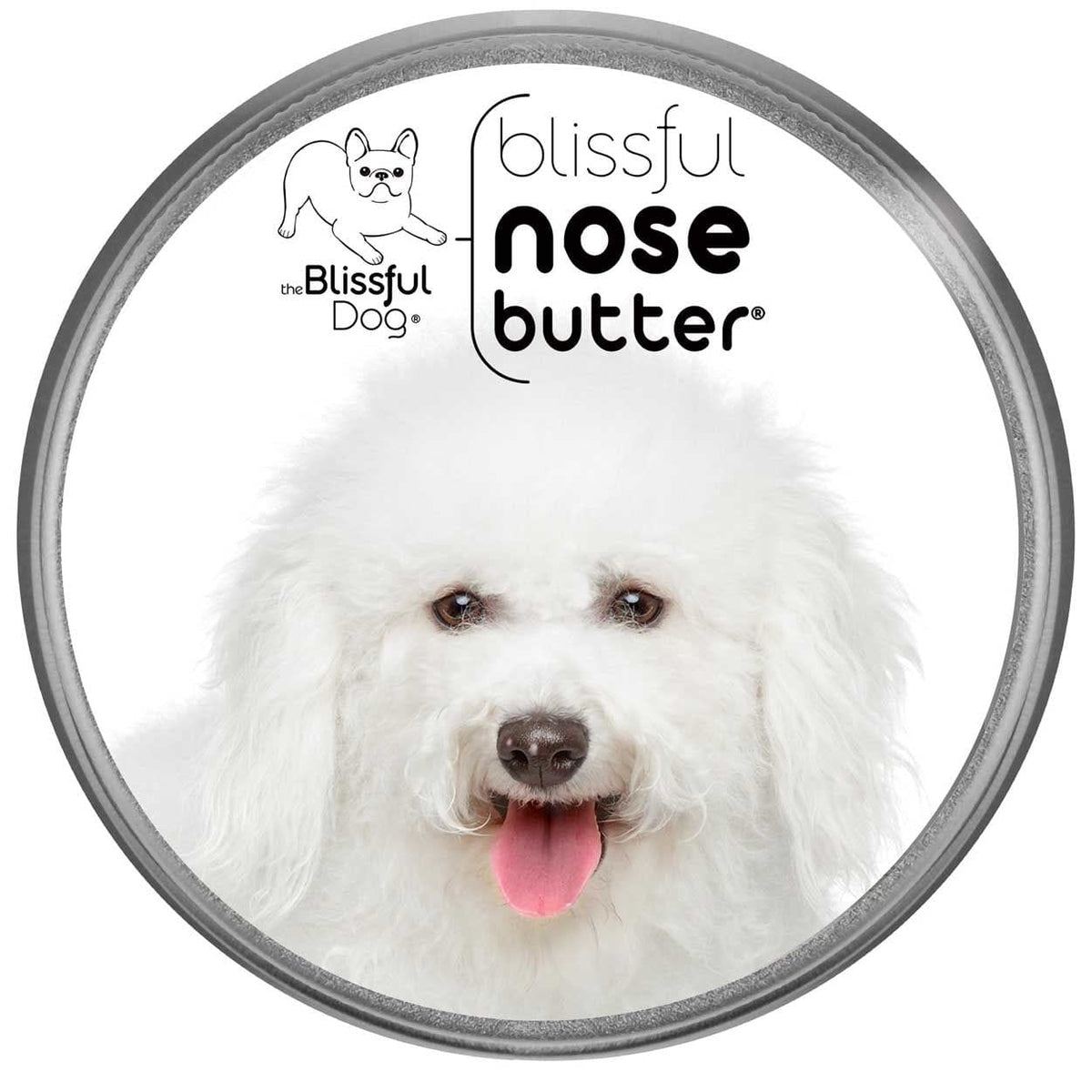 BICHON FRISE DOG HAS ROUGH NOSE