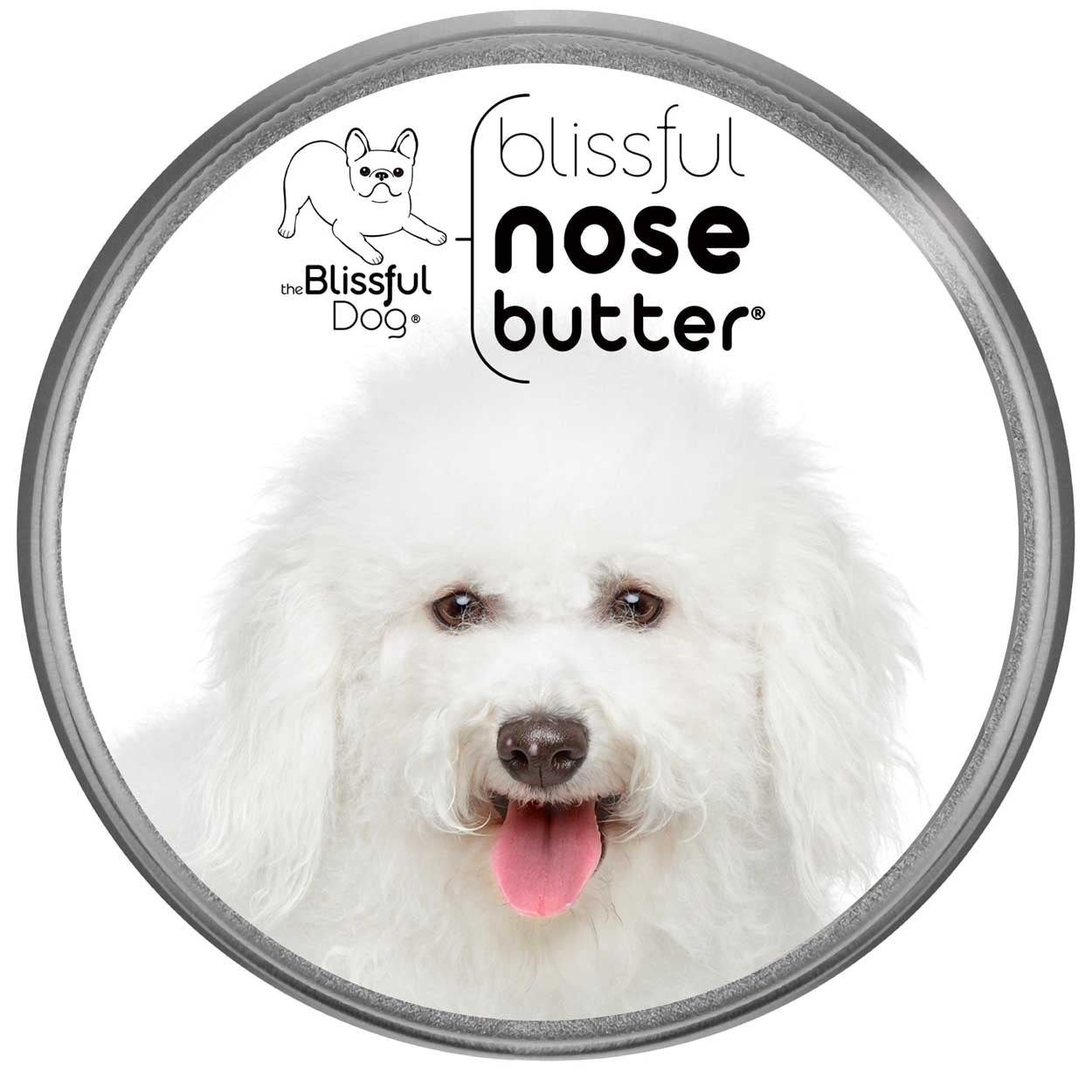 BICHON FRISE DOG HAS ROUGH NOSE