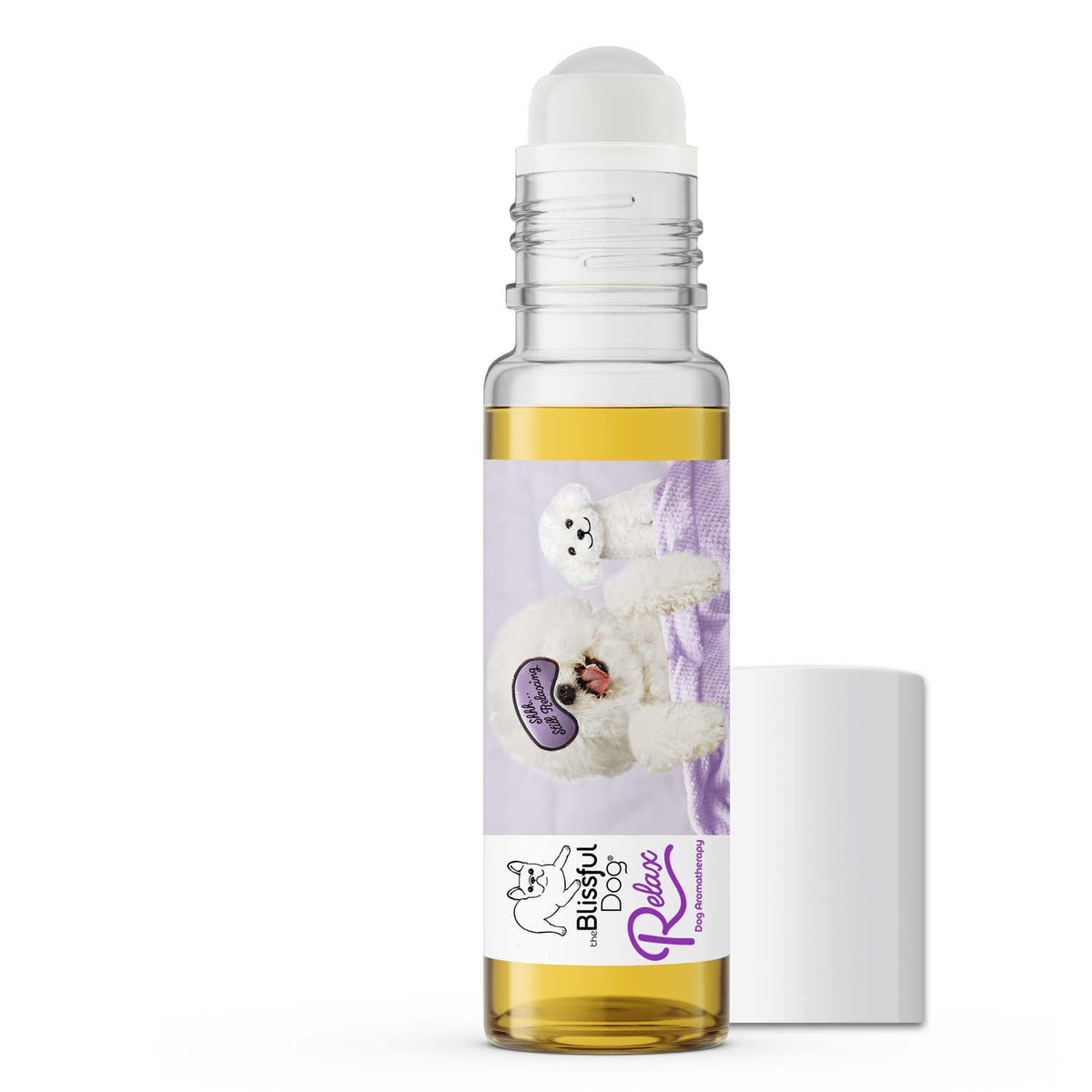 bichon frise afraid fireworks