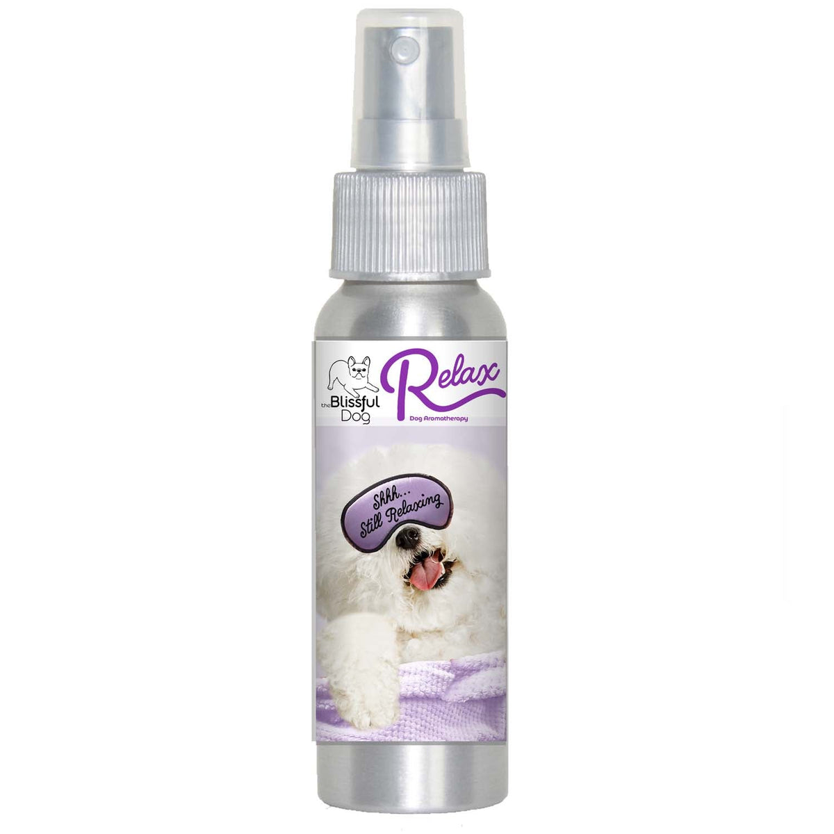 bichon frise relax dog aromatherapy