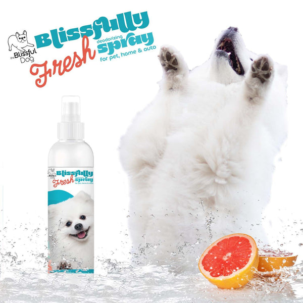 Dog Colognes & Perfumes Pet Deodorants The Blissful Dog