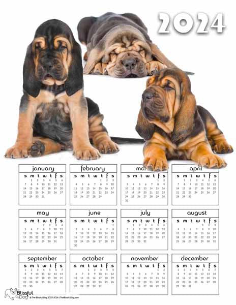 free bloodhound puppy calendar