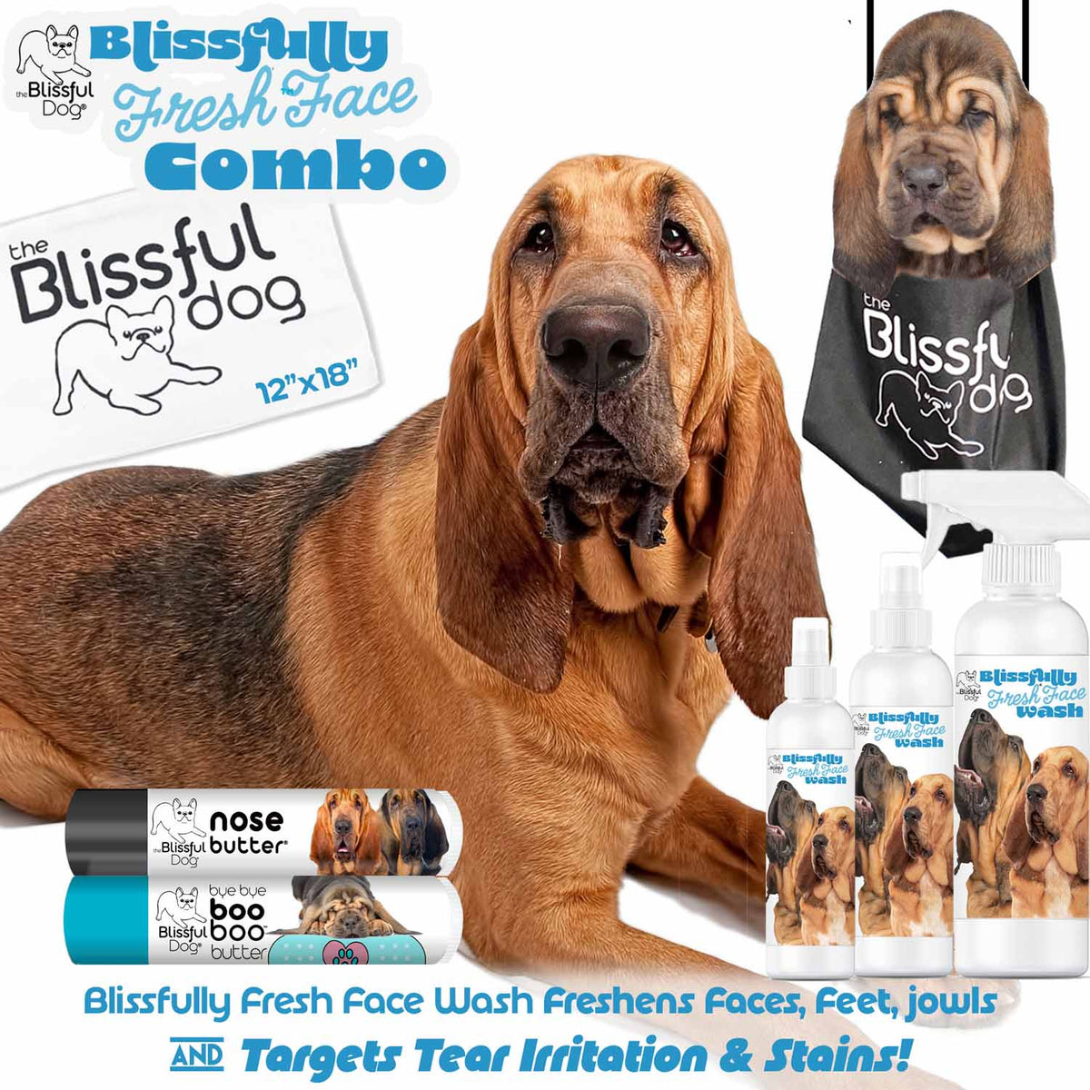 Bloodhound shampoo