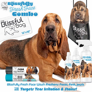 Bloodhound shampoo