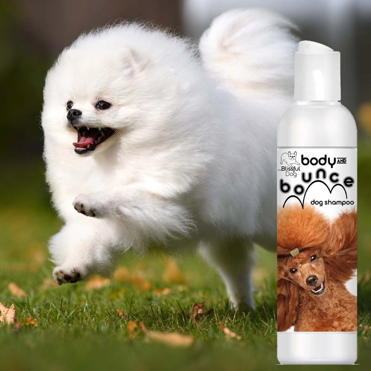 dog shampoo combo