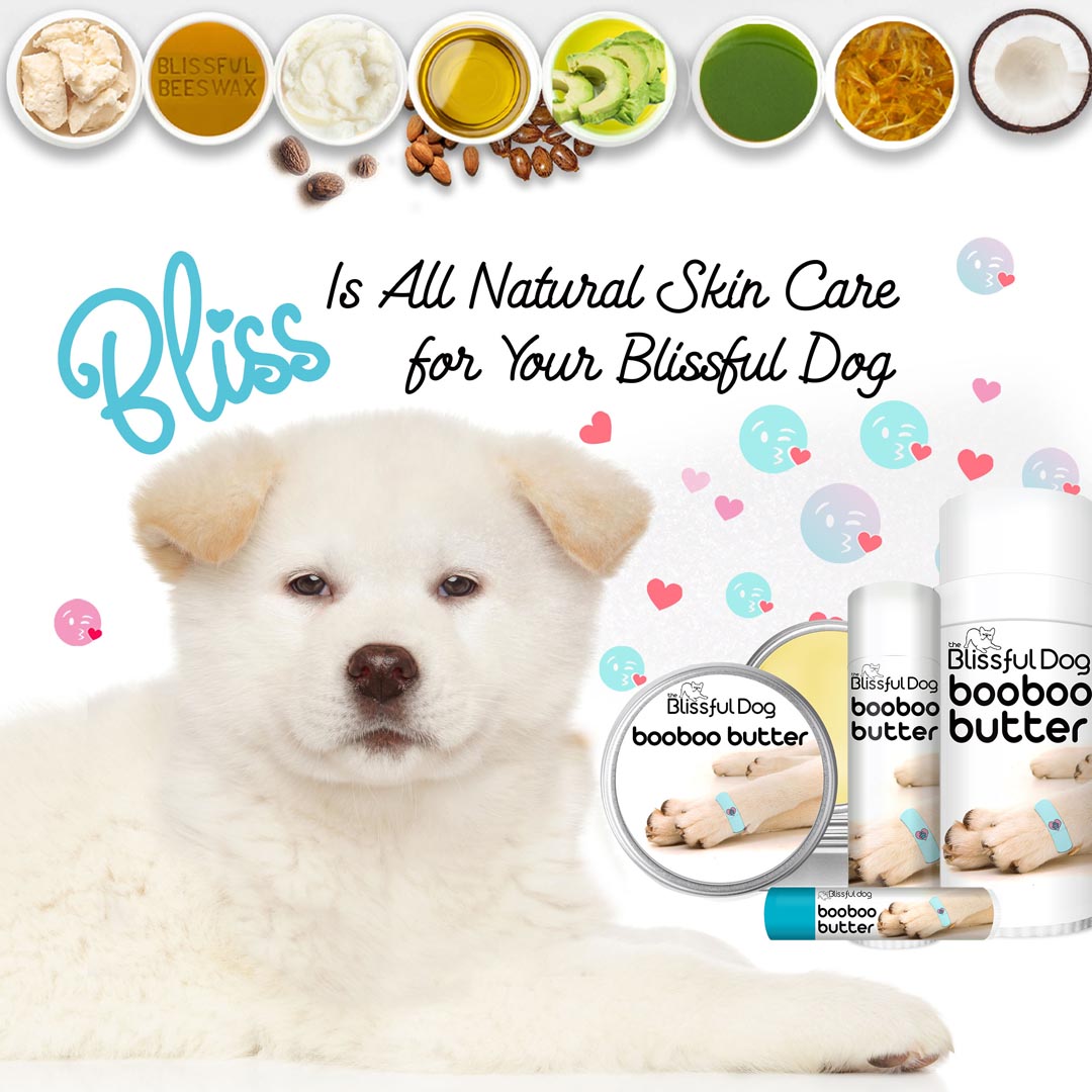 The Blissful Dog Boo Boo Butter For Chinese Crested Skin Care