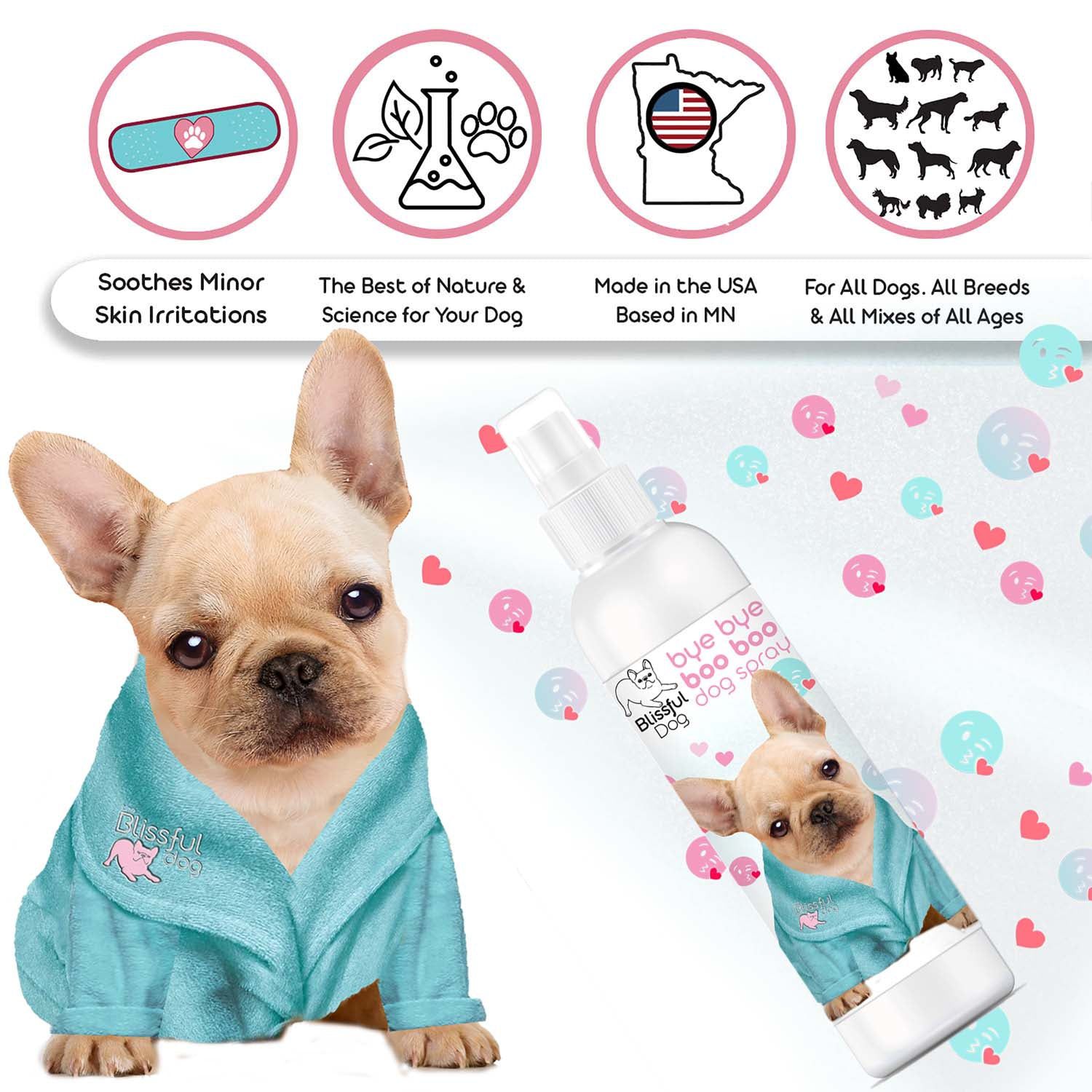 11 Ridiculously Expensive Accessories for Your Label Loving Pet - Freak 4  My Pet