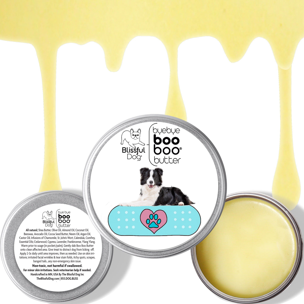 border collie itches