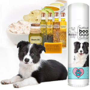 border collie balm