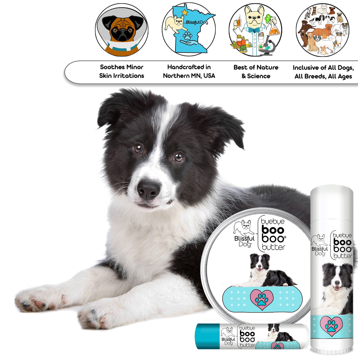 border collie skin care