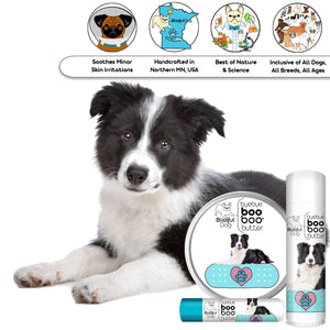 border collie skin care