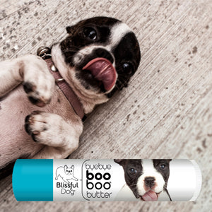 boston terrier skin care