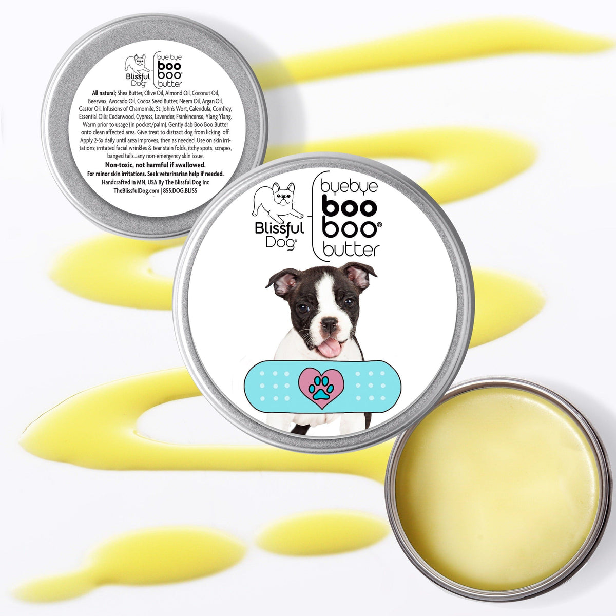 boston terrier itchy