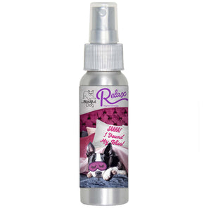 boston terrier relax dog aromatherapy