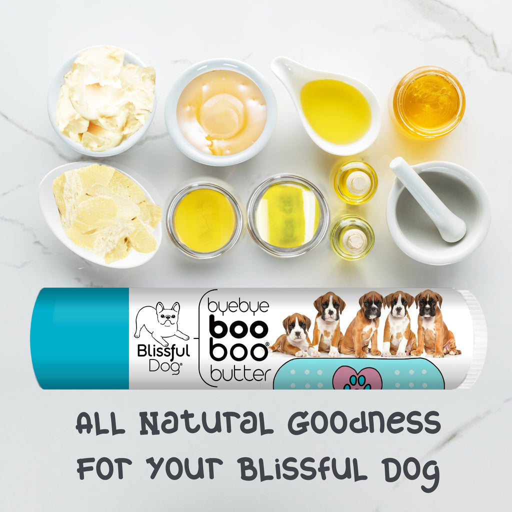 Itchy Skin Best Dog Food For Boxers With Sensitive Skin Boxer Boo