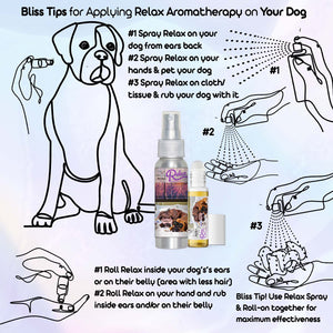 using boxer dog aromatherapy