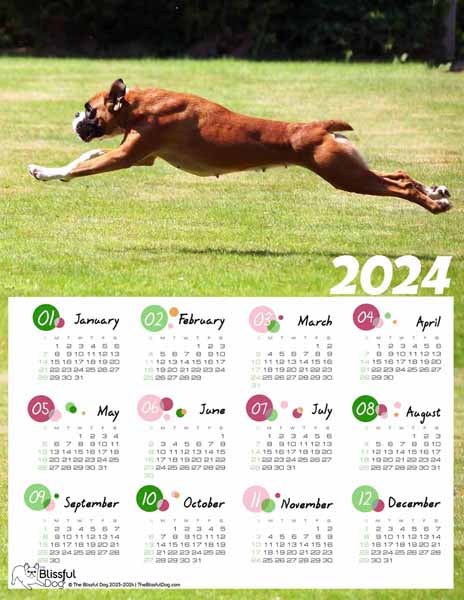free boxer calendar 