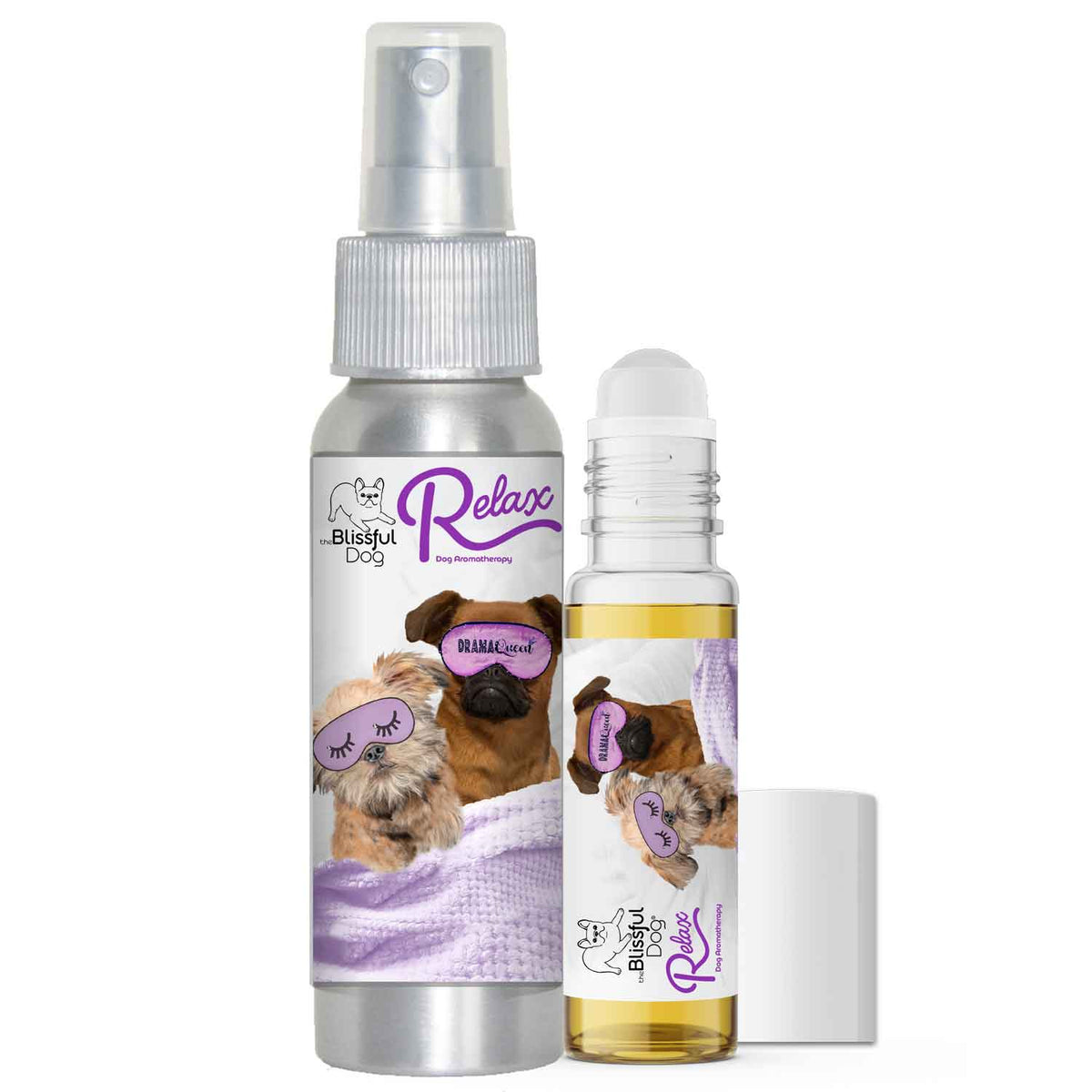 brussels griffon relax dog aromatherapy