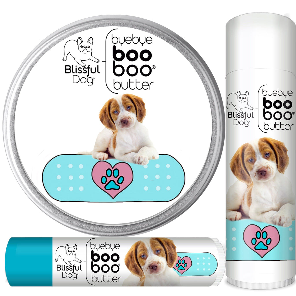 Pet Services Brittany's Dog Salon Shih Tzu Pet Grooming