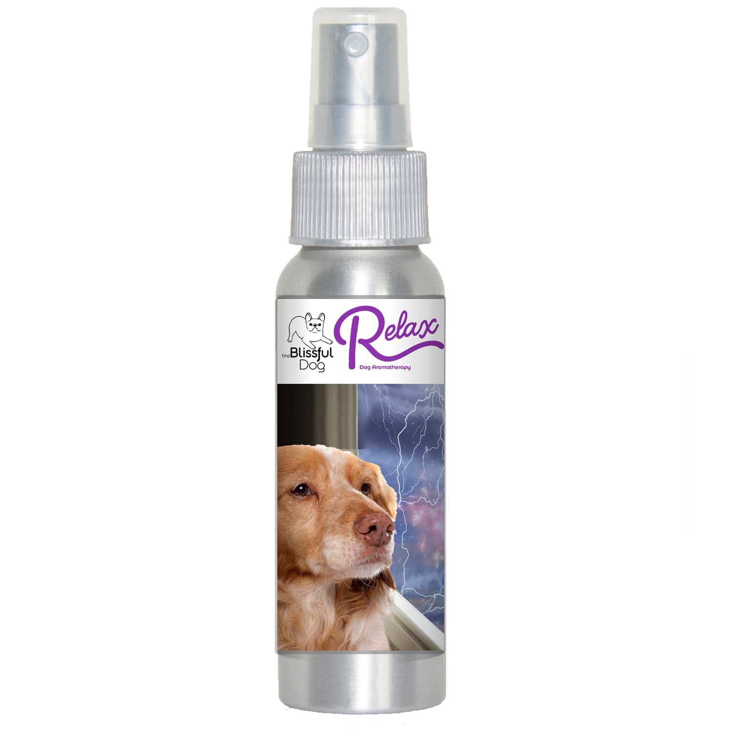 Is Your Brittany Dog Afraid of Thunder? Fireworks?