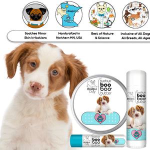 brittany spaniel skin care