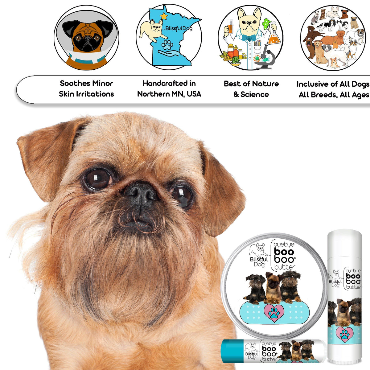 brussels griffon grooming