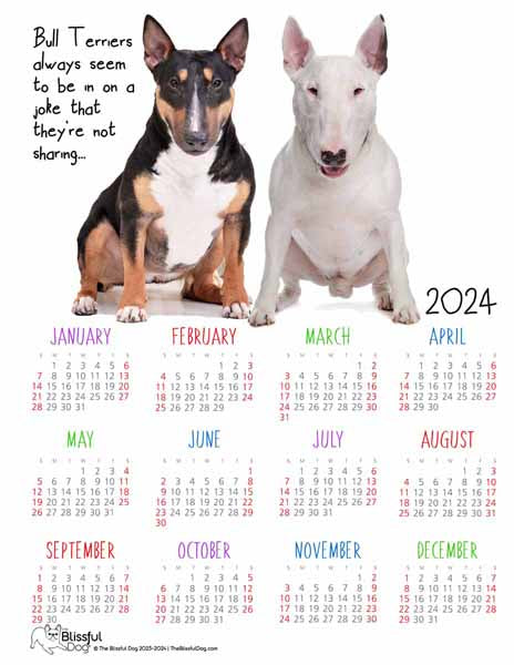 free bull terrier calendar