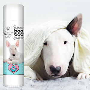 bull terrier allergies