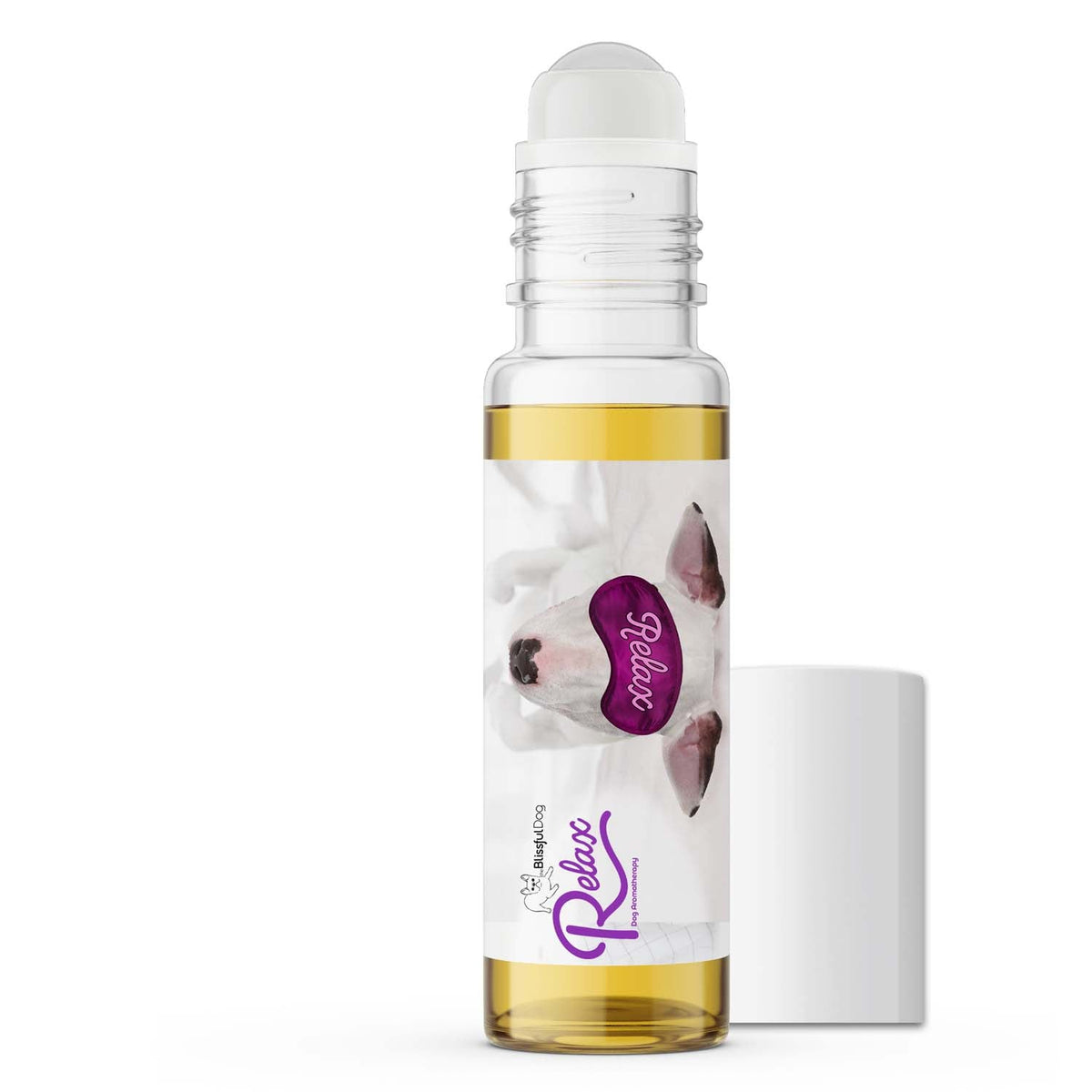 Bull Terrier separation anxiety