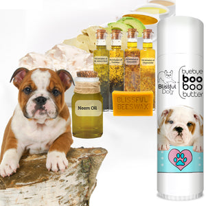 bulldog skin care